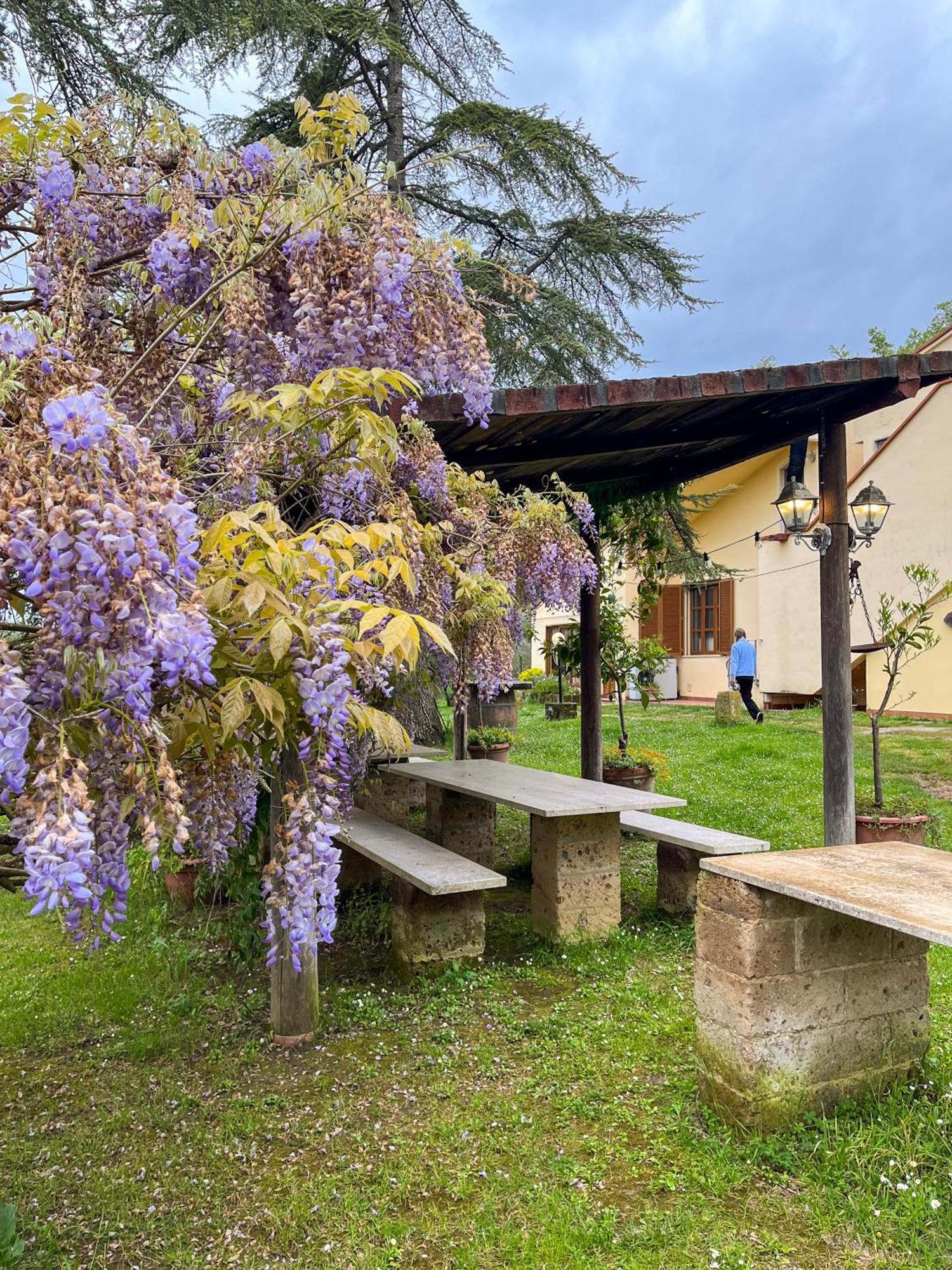 Tuscany Time Montefoscoli 外观 照片